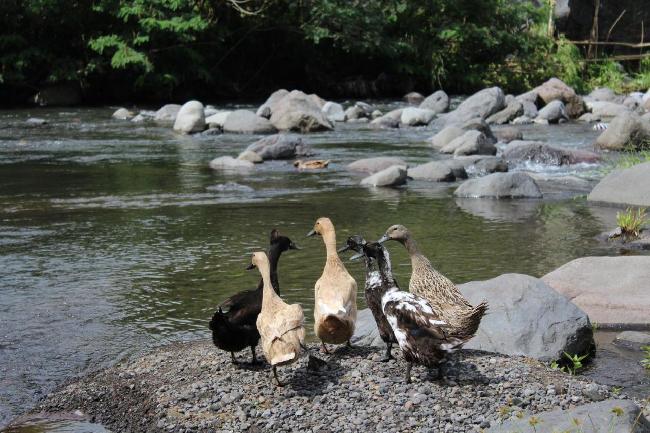 Pondok Tepi Sungai Sidemen  Zewnętrze zdjęcie